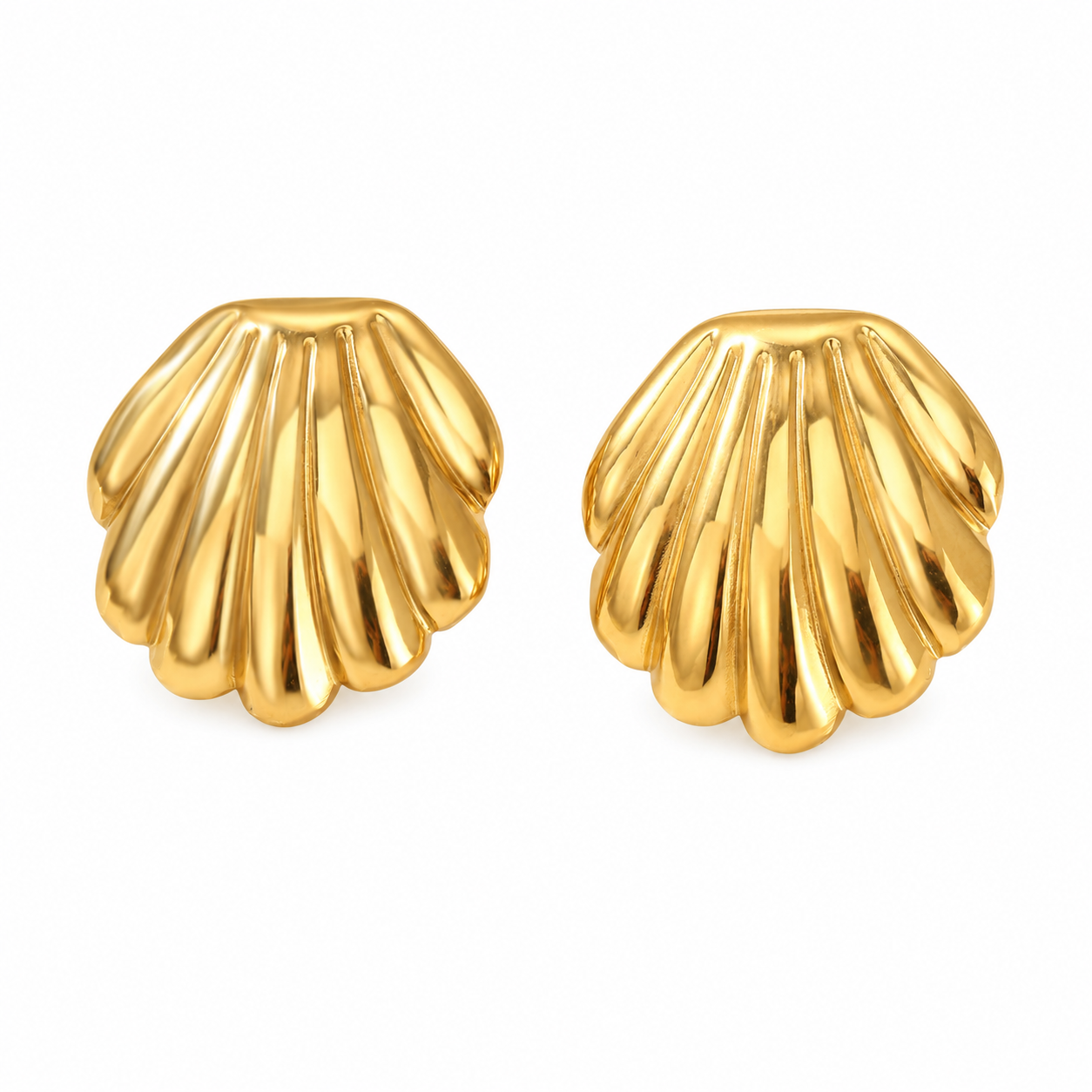 Shell Earrings