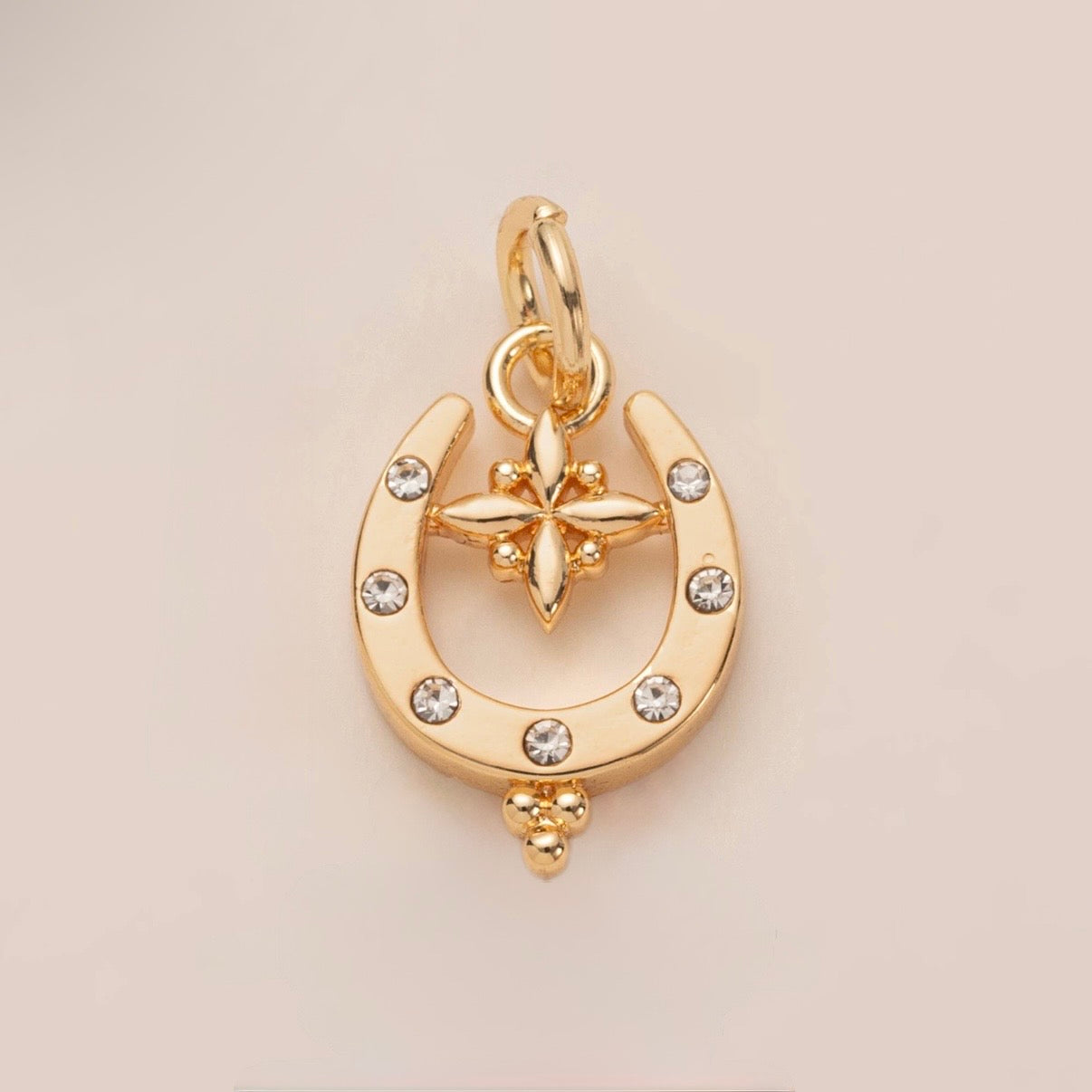 Horseshoe lucky charm