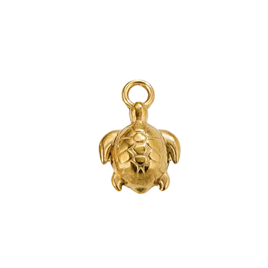 Turtle charm