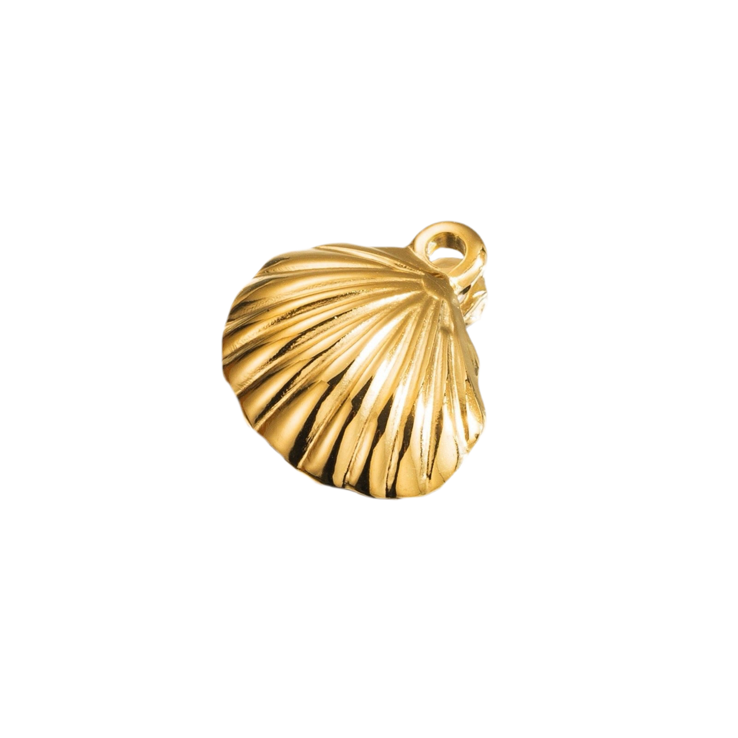 Shell charm