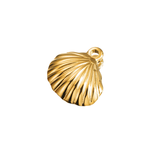Shell charm