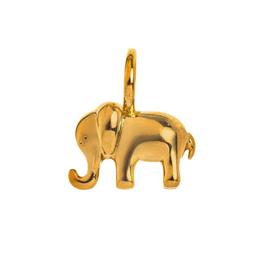Elephant charm