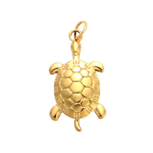 Turtle charm