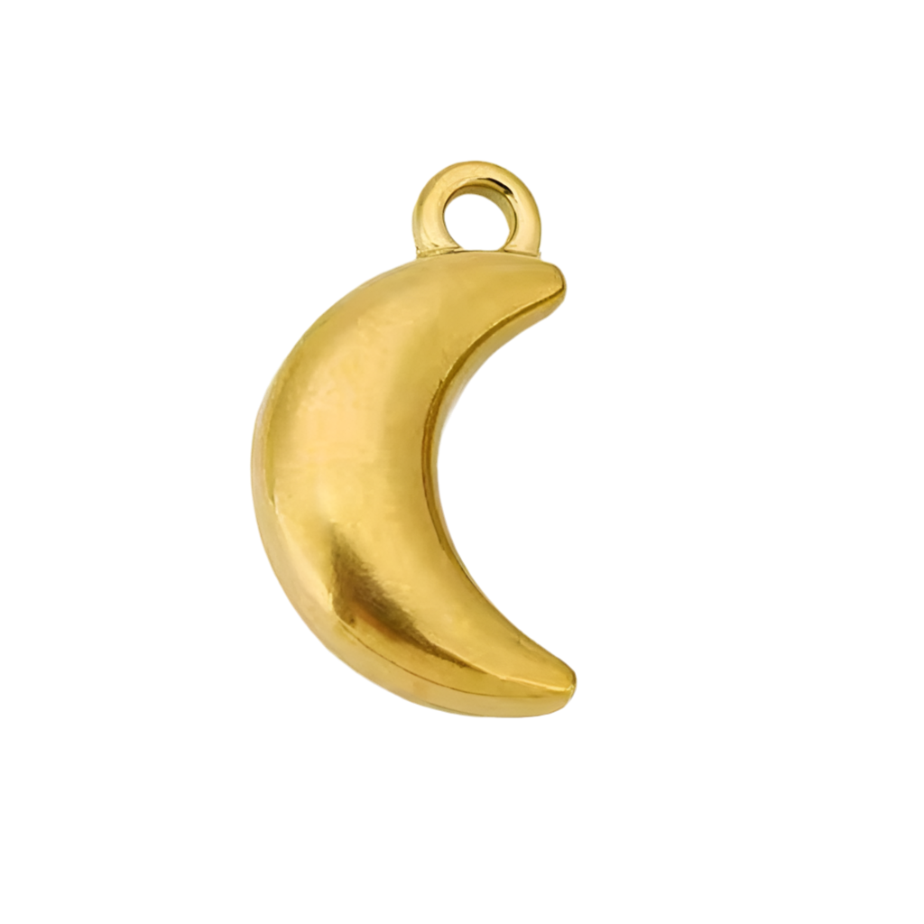 Half Moon mini Charm