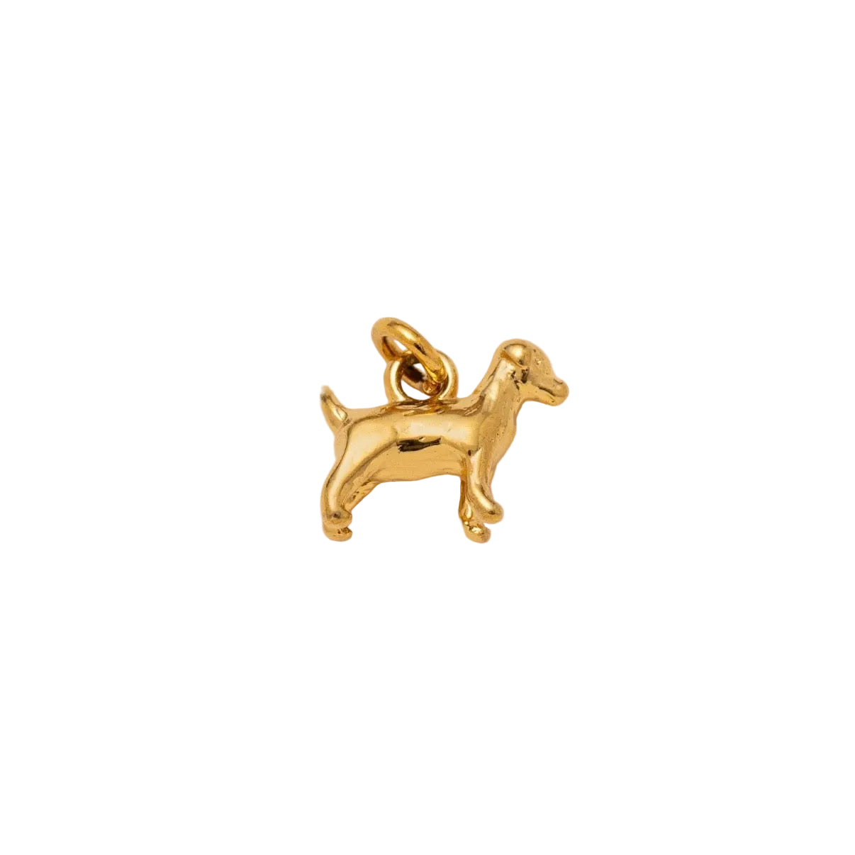 Dog charm