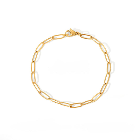 Paperclip Anklet