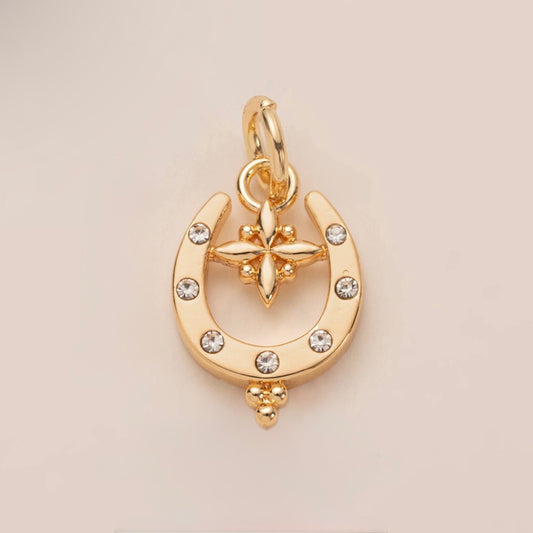 Horseshoe lucky charm