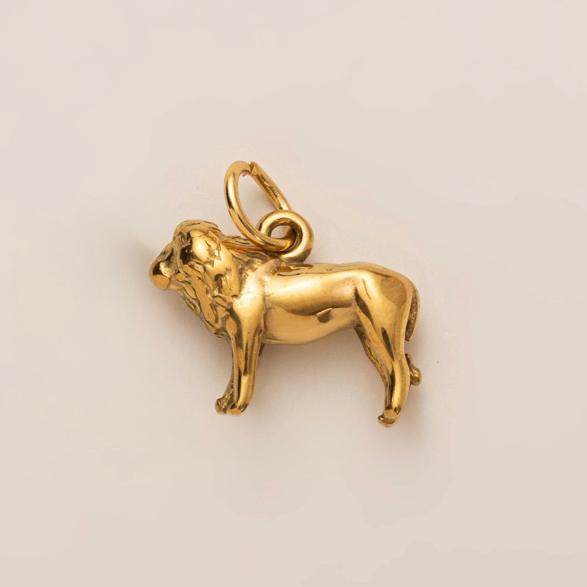 Lion charm