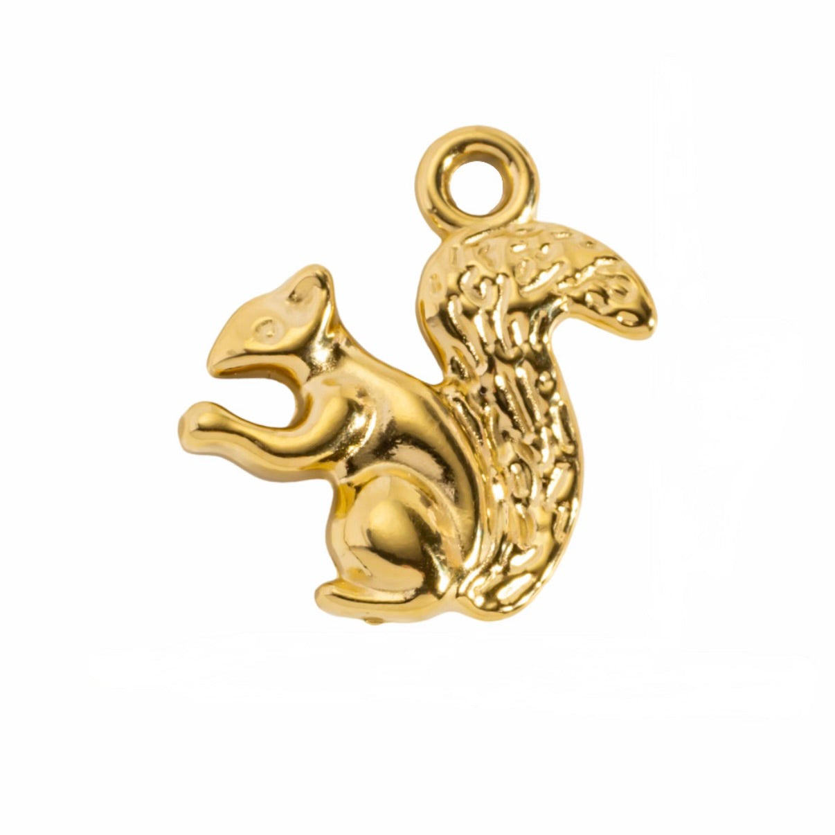 Squirrel Charm