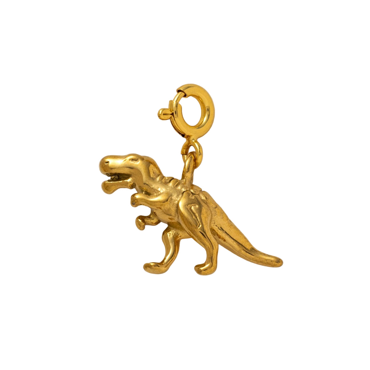 Dinosaur charm