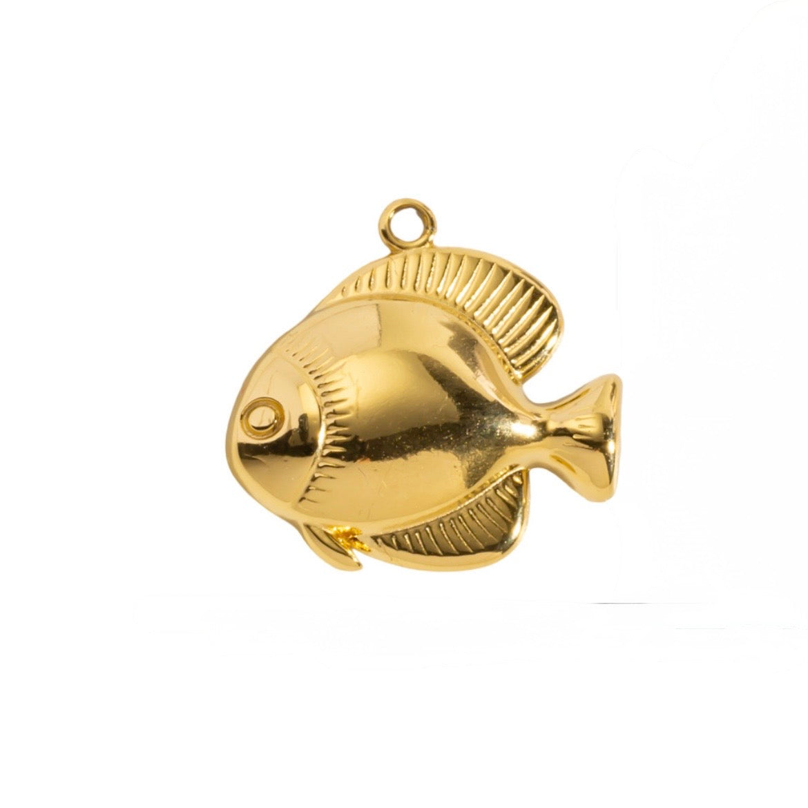 Fish charm