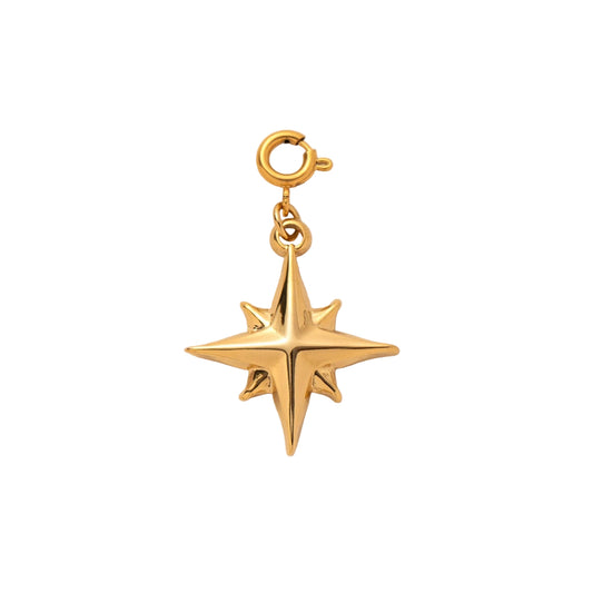 Star Charm