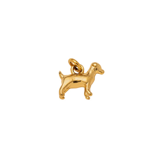 Dog  charm