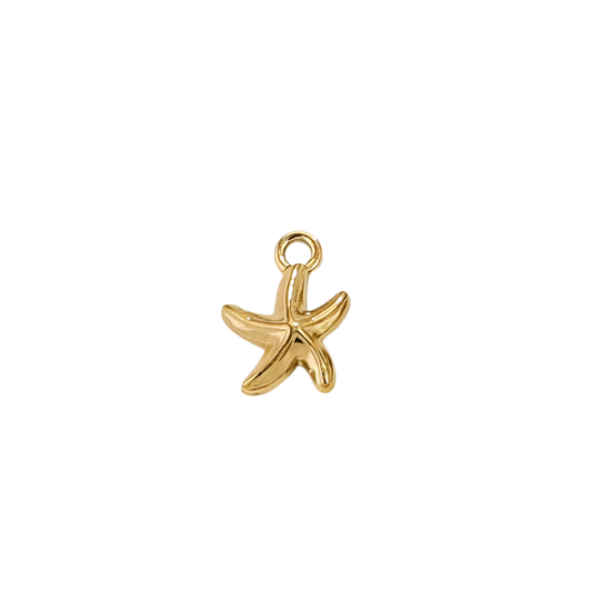 Starfish charm